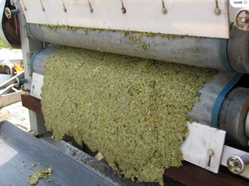 帶式壓濾機作用與標準型壓濾機原理