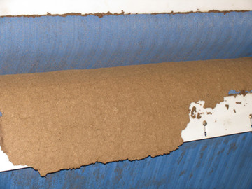 帶式壓濾機應用郫縣工廠污水處理